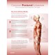 Upper and Lower Crossed Syndrome Poster